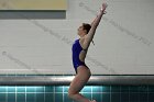 Women's Diving  Wheaton College Women’s Diving vs Mount Holyoke College. - Photo by Keith Nordstrom : Wheaton, Swimming & Diving